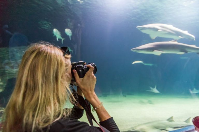 Oceanogràfic de Valencia