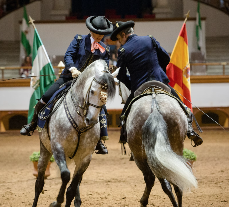 Royal Andalusian School of Equestrian Art