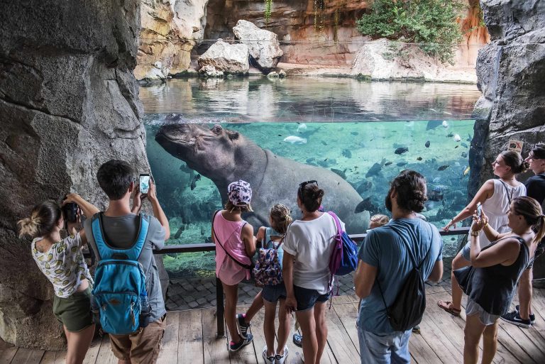 Bioparc Valencia