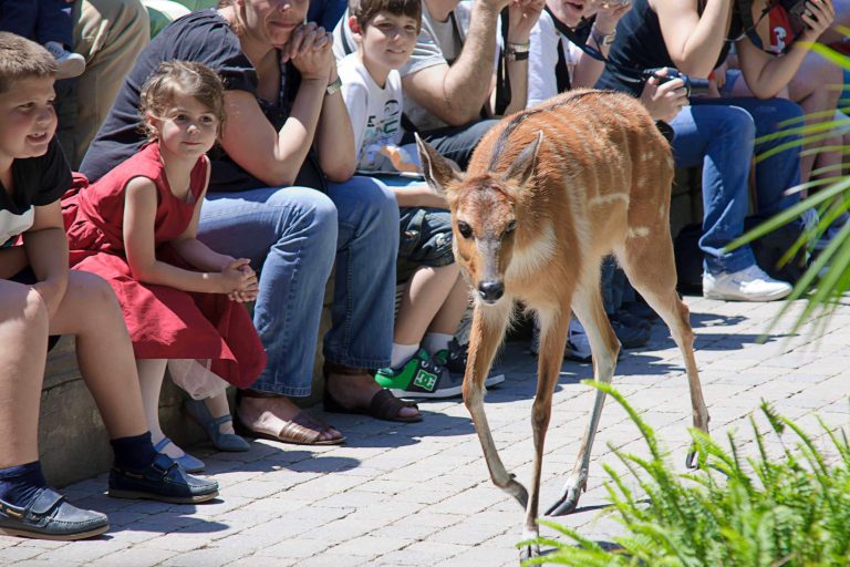 Bioparc Fuengirola